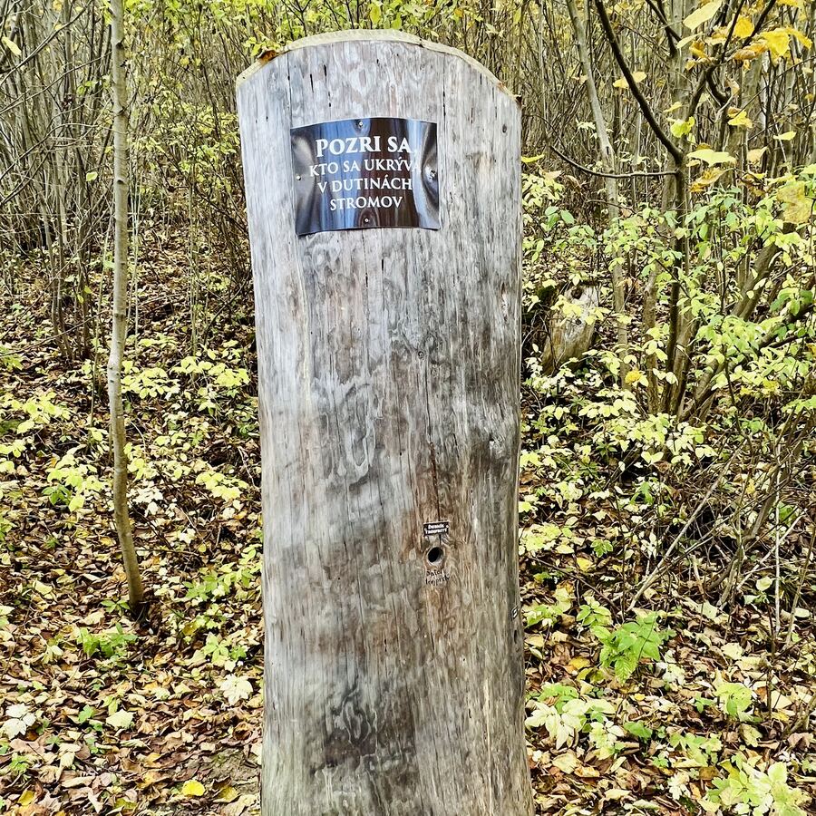 Čingov–Maša educational trail — photo 1