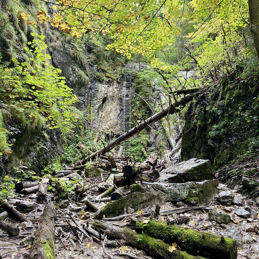 Kláštorská rokľa — photo 3