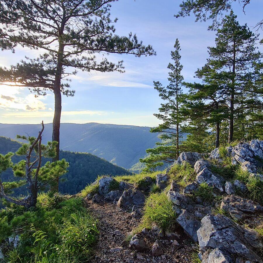 Matka Božia — photo 2