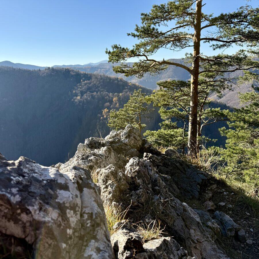 Matka Božia — photo 3