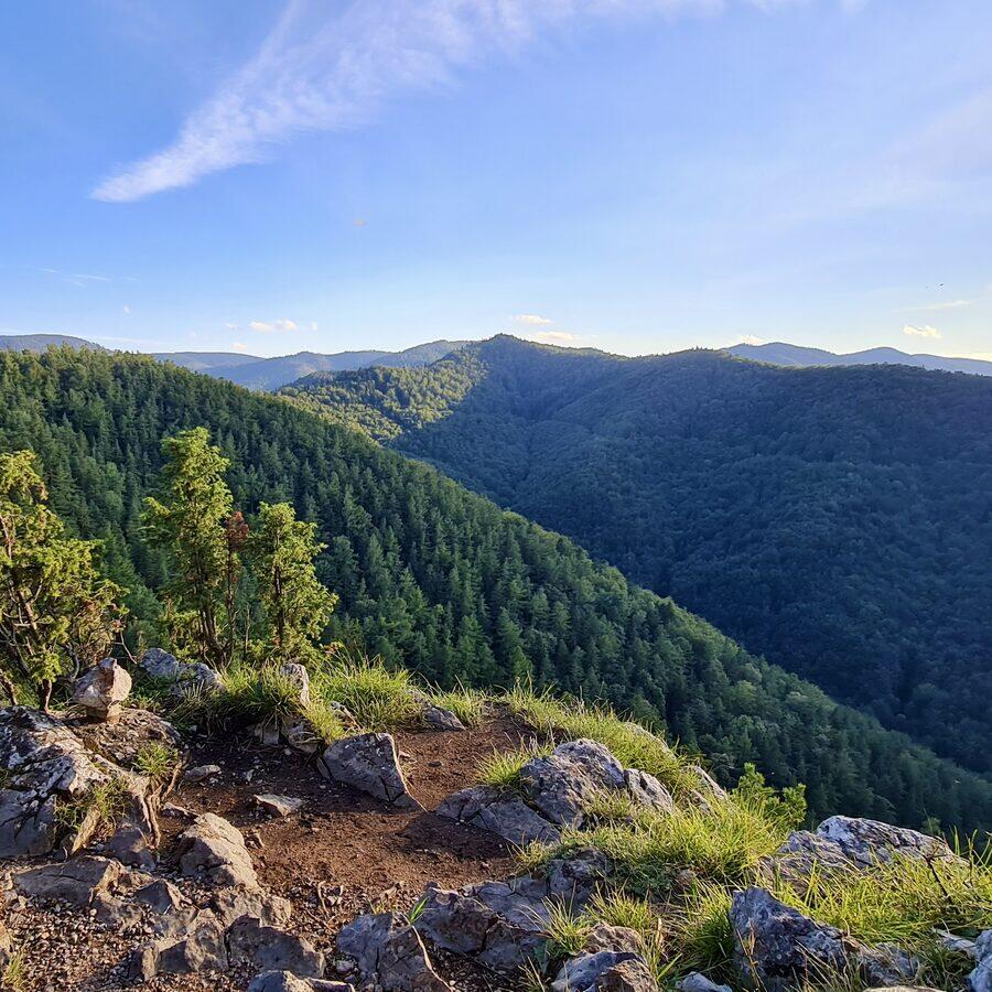 Matka Božia — photo 7