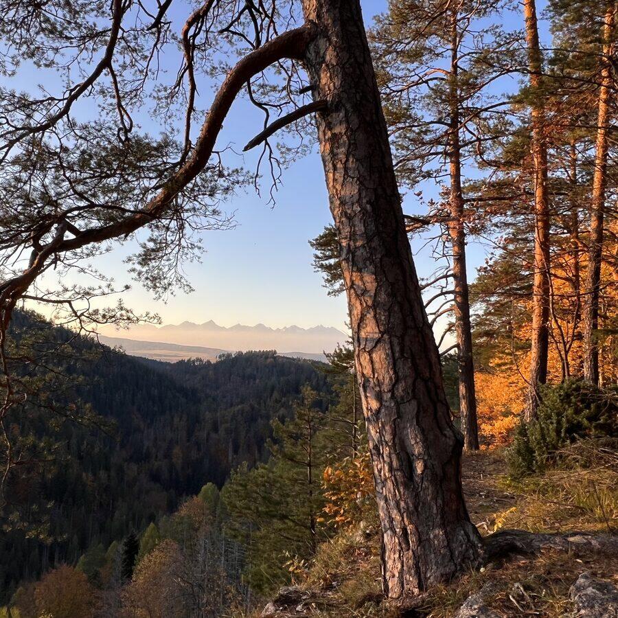 Tomášovský výhľad — photo 3
